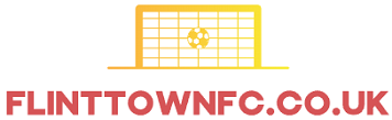 FlintTownFC.co.uk – Soccer Betting